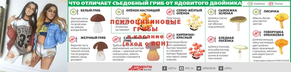 дживик Арсеньев