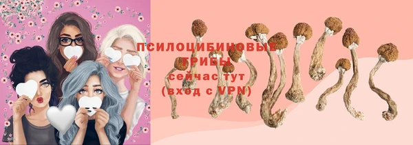 тгк Аркадак