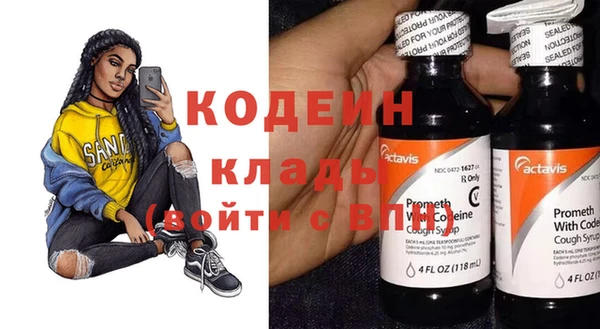 индика Баксан