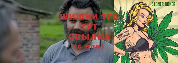 тгк Аркадак