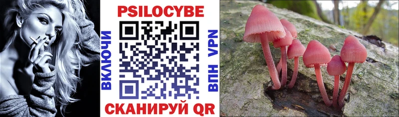 Псилоцибиновые грибы GOLDEN TEACHER  Купить где  Пустошка 